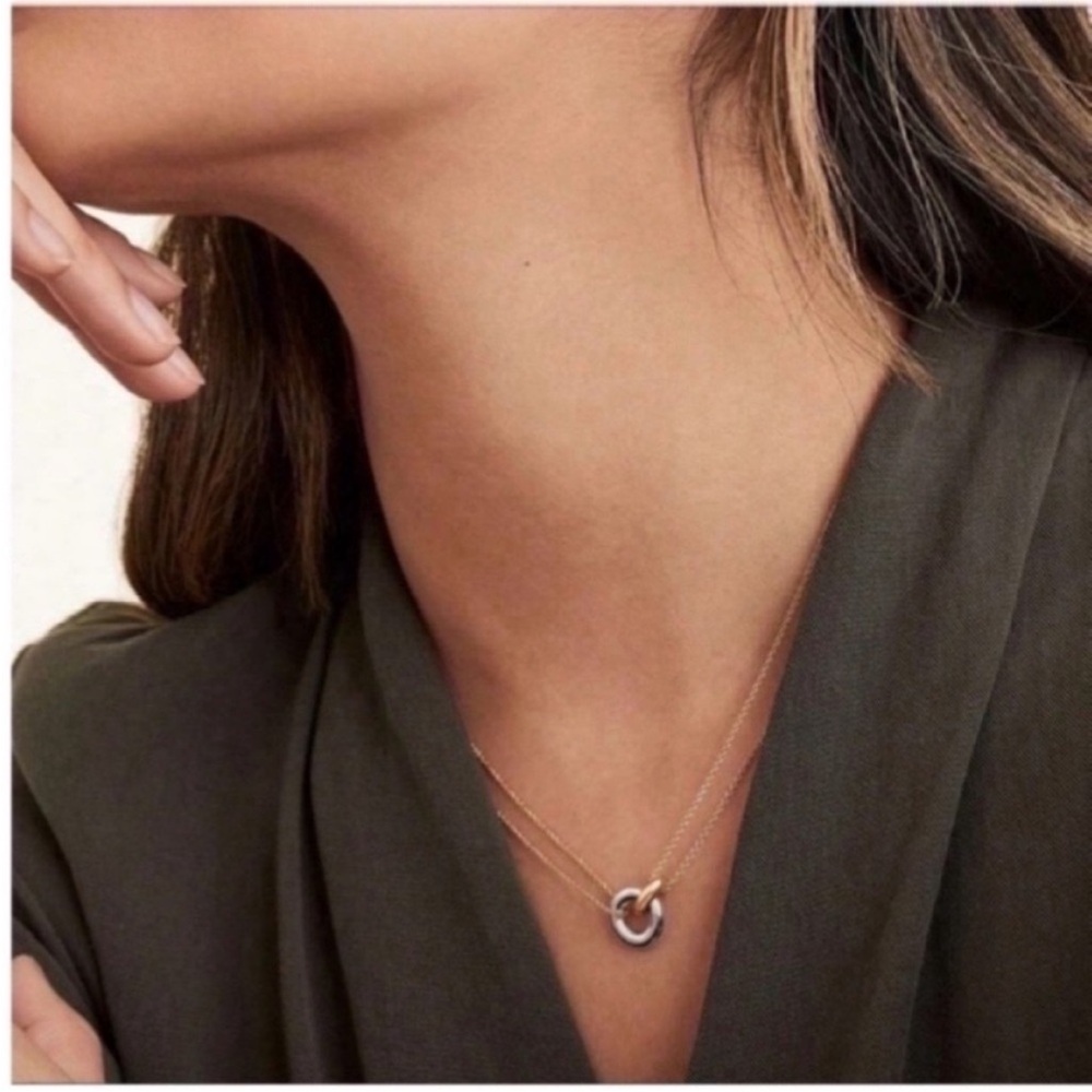 New! Anthropologie Gold Link Two Tone Necklace (3033) NWOT - Picture 2 of 4